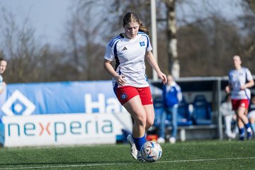 Bild 109 - F Hamburger SV 3 - Blau-Weiss 96 : Ergebnis: 5:1